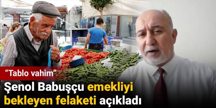 Şenol Babuşçu emekliyi bekleyen felaketi açıkladı: Tablo vahim