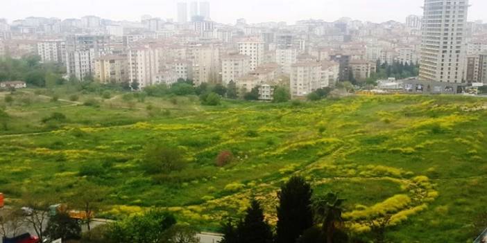 İstanbul'un göbeğindeki devasa arazinin yeni sahibi belli oldu. İki kardeş 6 buçuk milyar lira alacak