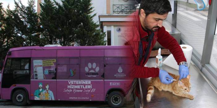 Gezici veteriner "Vetbüs" sokak hayvanlarına hizmet verdi