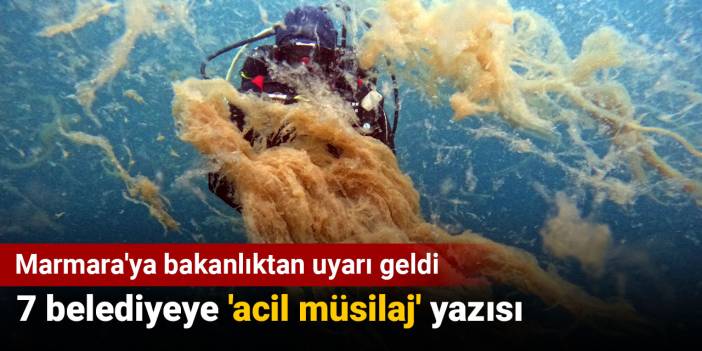 Marmara'ya müsilaj uyarısı bakanlıktan geldi. 7 belediyeye 'acil' yazısı gitti