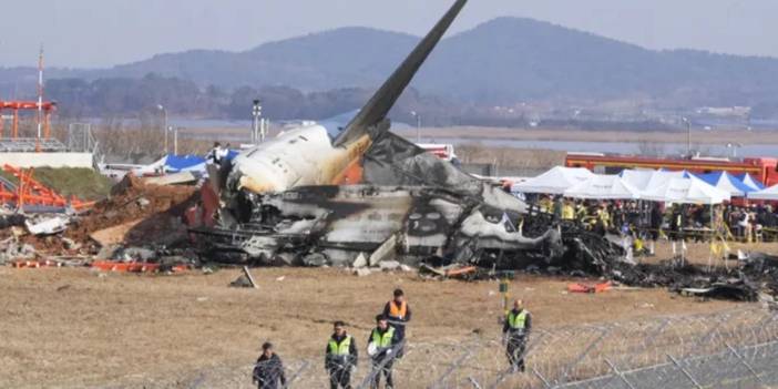 Boeing 737 uzmanı: Kore'deki uçak kazasının nedeni kuş çarpması değil mekanik arıza olabilir