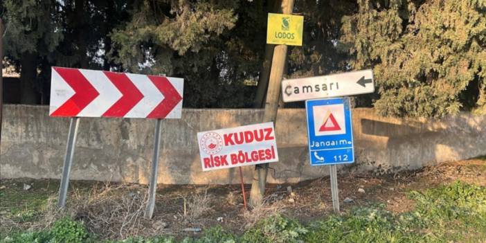 Hatay'da 'kuduz' paniği: Mahalle karantinaya alındı!