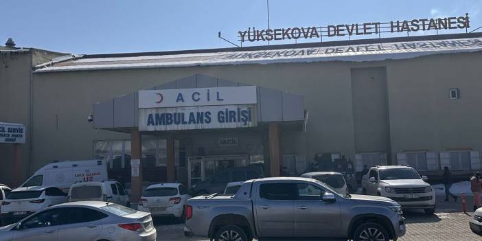 Köpeklerin saldırısına uğrayan çocuk hayatını kaybetti