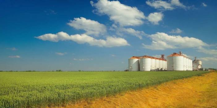 Mahkeme 2 kere şans verdi yetmedi: Tarım devi iflas etti