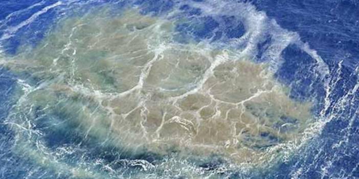 O adada yüzlerce can yaşıyor: Koptu gidiyor, hayatları tehlike altında