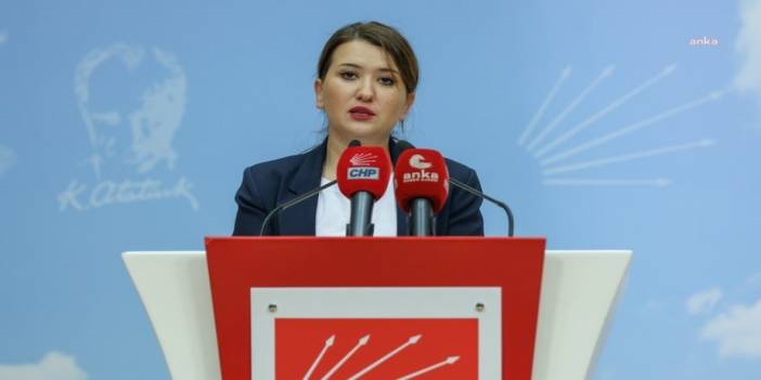 CHP'li Gökçen: Bakanlık hariç herkes cezalandırılabilir