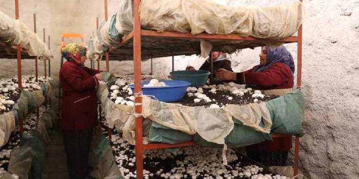 "Sofranın incileri" projesiyle kadınlar yakında erkeklere de istihdam sağlamayı düşünüyorlar