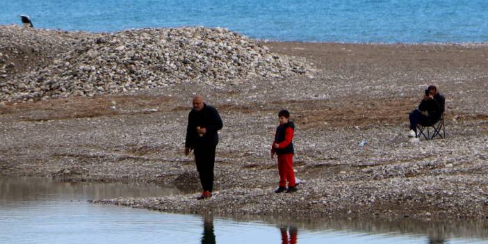 Antalya’da bir anda ortaya çıktı: İnsanlar beslemek için sahile koştu