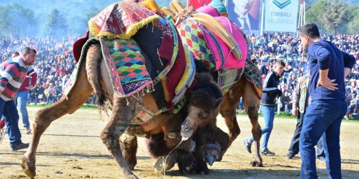 Bu yıl 16’ıncı kez düzenlenecek: Girişler ücretsiz olacak