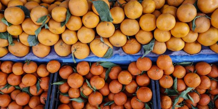 Mersin 676 bin ton ihraç etti. En çok Rusya aldı