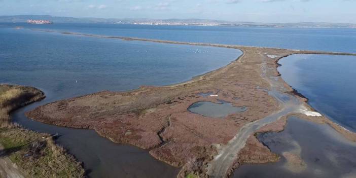 Avrupa'daki soğuklar Çanakkale'de sayısını artırdı