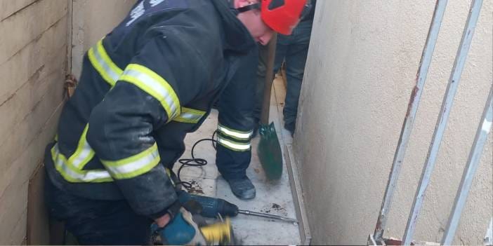 Ordu'da düştüğü yerde mahsur kalan kediyi itfaiye ekipleri kurtardı