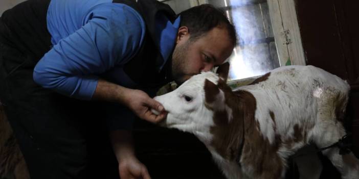 Komşusundan aldığı dana hayatını değiştirdi