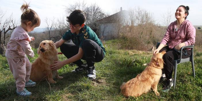 'Alex' gelince çocuklar sosyal medyadan uzaklaştı