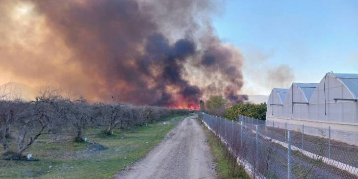 Muğla'nın Köyceğiz Gölü yakınlarında yangın çıktı