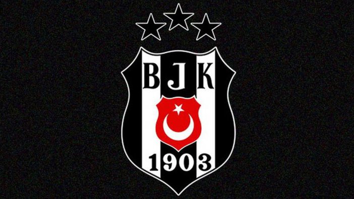 Beşiktaş, yeni başkanını seçiyor