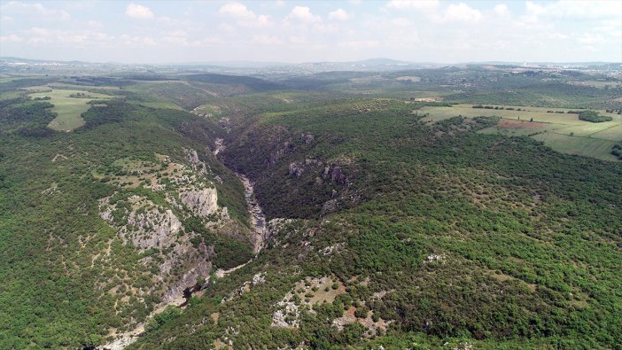 200 milyon yıllık oluşum sonrası meydana gelen vadide yol için 17 bin ağaç kesilecek