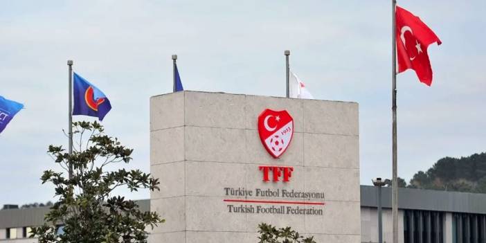 TFF müjdeyi duyurdu: Milli takımın maçının bileti ücretsiz