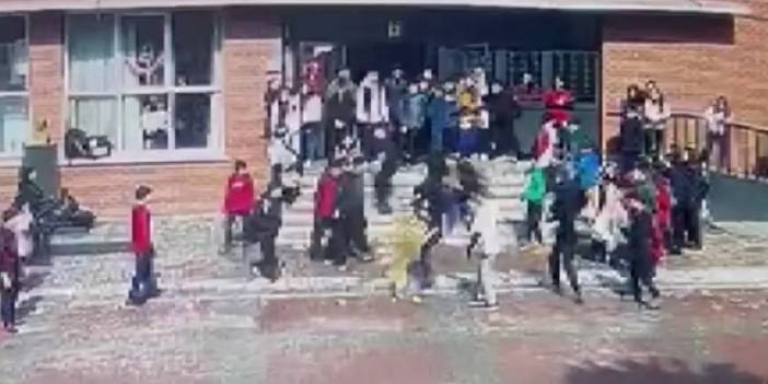 Okul bahçesine giren köpek 5 öğrenci ve 1 öğretmeni ısırdı: Sahibi gözaltına alındı