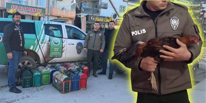 Horoz dövüştürenlere 1 milyon 194 bin TL ceza