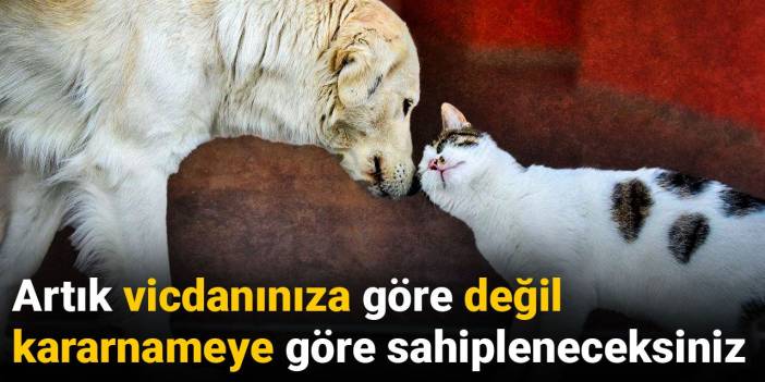 Artık vicdanınıza göre değil kararnameye göre sahipleneceksiniz