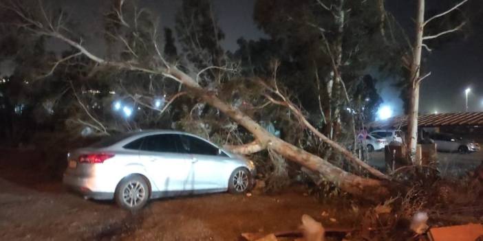 Hatay'da fırtına: Tekneler alabora oldu, ağaçlar devrildi