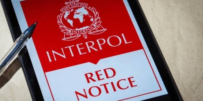 Interpol'ün aradığı Bosnalı hırsız Fethiye'de yakalandı