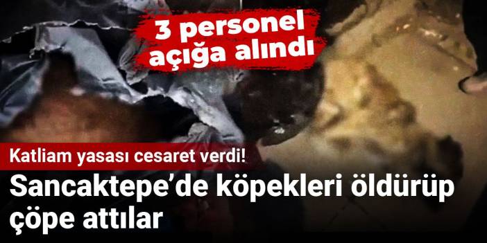 Katliam yasası cesaret verdi! Sancaktepe’de köpekleri öldürüp çöpe attılar