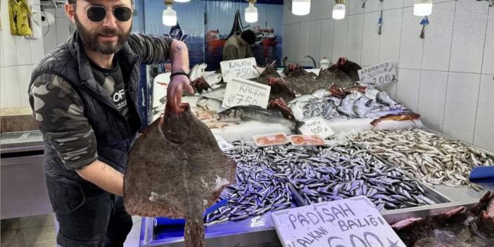 Kalkan balığı akın etti: Fiyatı ilk kez bu kadar düştü