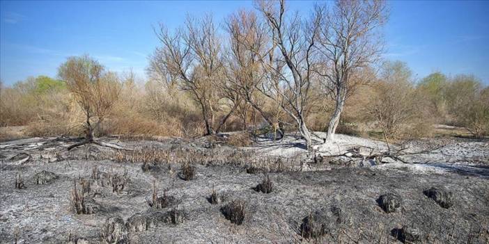 Kastabala Kuş Cenneti'nde yangın! 14 saatte söndürüldü