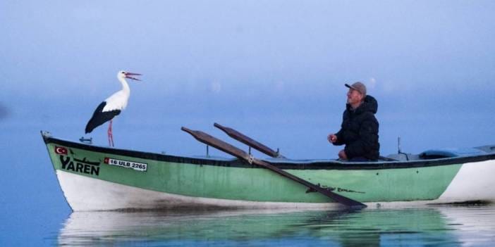 Baharın müjdecisi Yaren leylek geldi! Haberi alanlar köye akın etti