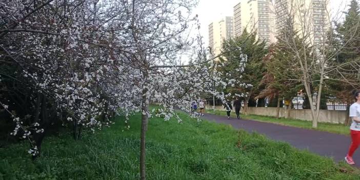 Marmara'da hızlı hava değişimi: Yarın kuvvetli yağış bekleniyor