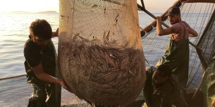 Balık severlere kötü haber: Yediniz yediniz