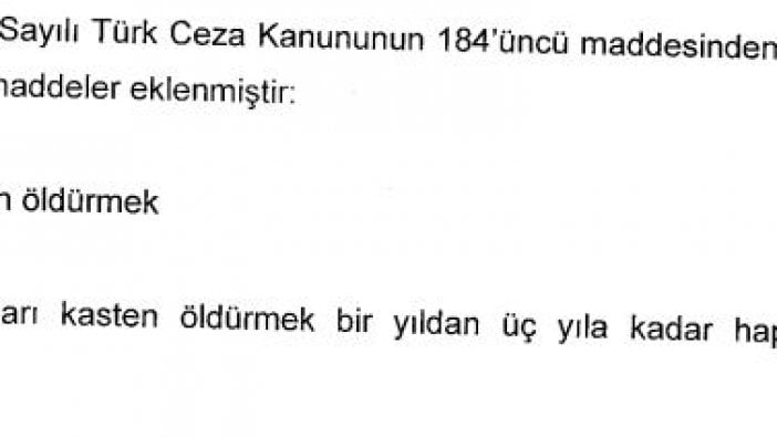 Köpeği kasten ezip öldüren o cani nasıl serbest kaldı? İşte cevabı!