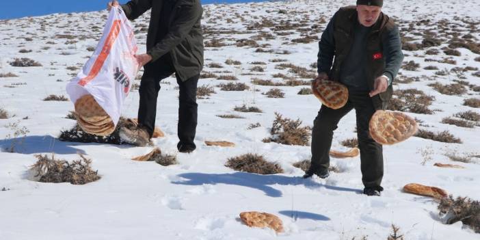 Yaban hayvanları için 14 ton yem doğaya bırakıldı
