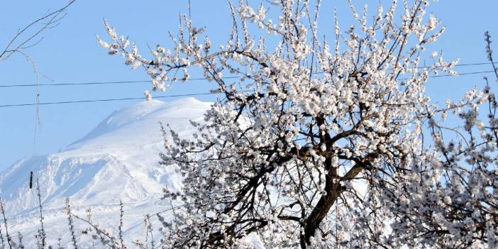 Iğdır beyaza büründü! Görenler hayran kaldı
