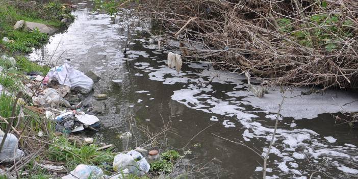 Saranlı Deresi'nde kirlilik nedeniyle köpükler oluştu: Tüm balıklar öldü