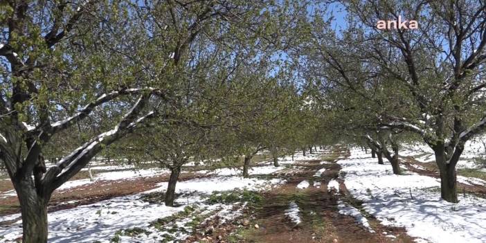 'Malatya derhal afet bölgesi ilan edilsin'