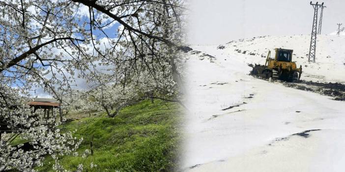 Doğu'da kar, Batı'da bahar! Meteorolojiden yeni rapor