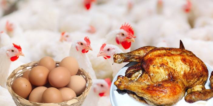 Kriz kapıda mı? Yumurta fiyatları uçtu, üretim dipte!