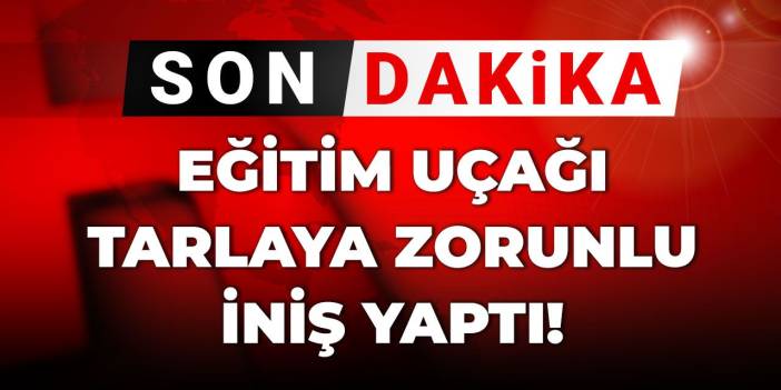 Son Dakika | Bursa'da faciaya kılpayı: Eğitim uçağı tarlaya zorunlu iniş yaptı