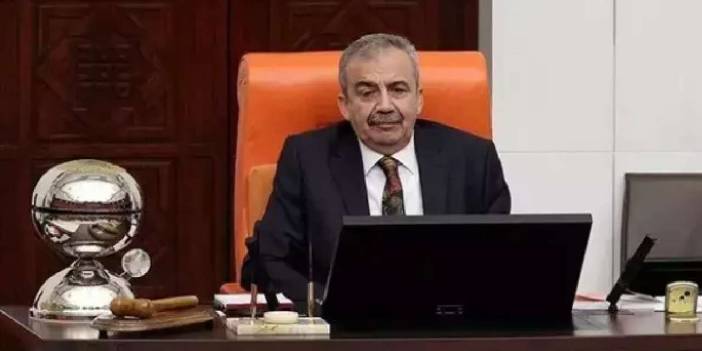 Meclis'e Sırrı Süreyya Önder arası