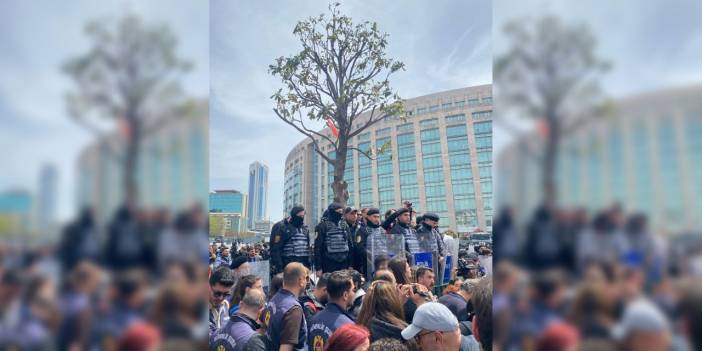 Çağlayan'da ağaç bile abluka altında