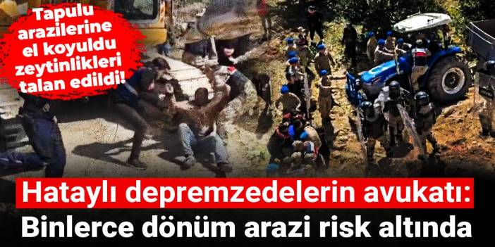 Tapulu arazilerine el koyuldu, zeytinlikleri talan edildi! Hataylı depremzedelerin avukatından çarpıcı açıklama