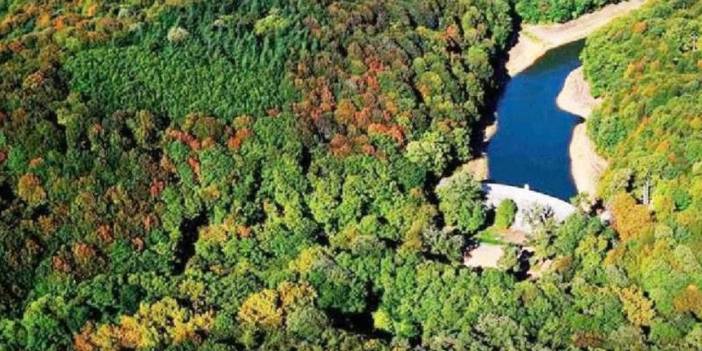 İBB’nin elinden alınan Belgrad Ormanı’na randevu şartı