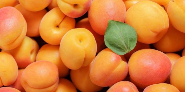 Zirai dondan etkilenen kayısı üreticisi: Kayısı artık tane ile satılacak!