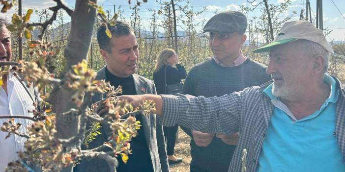 Zirai don elmayı vurdu: 250 bin ton hasat beklediğimiz bahçelerden hiçbir üretim alamıyoruz