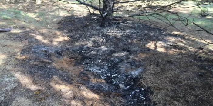 Kayıp kadının yanmış bedeni bulundu
