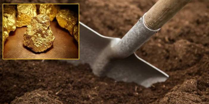 Tarlasında 4 milyar avro değerinde 150 ton altın buldu