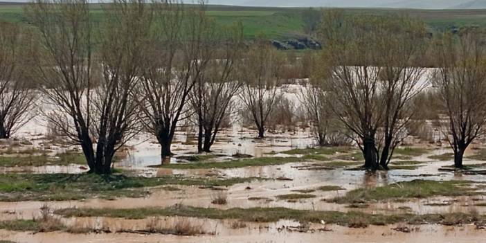 Ağrı’da Murat Nehri taştı: Tarım arazileri zarar gördü